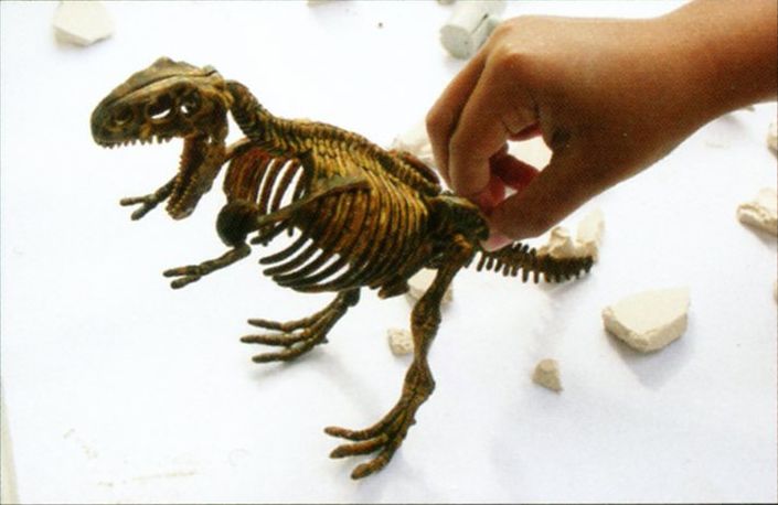 Археологический набор Скелетон Тиранозавр Рекс