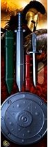 Набор щит и меч