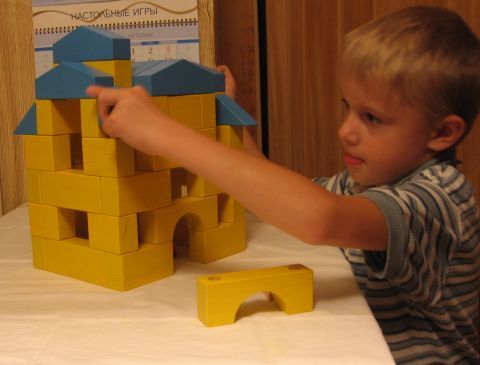 Детский деревянный конструктор Собери свой дом 170 деталей
