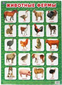 Обучающий плакат "Животные фермы"