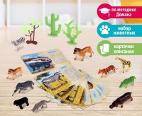 Обучающий набор «Дикие животные разных стран» с карточками