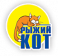 Рыжий кот